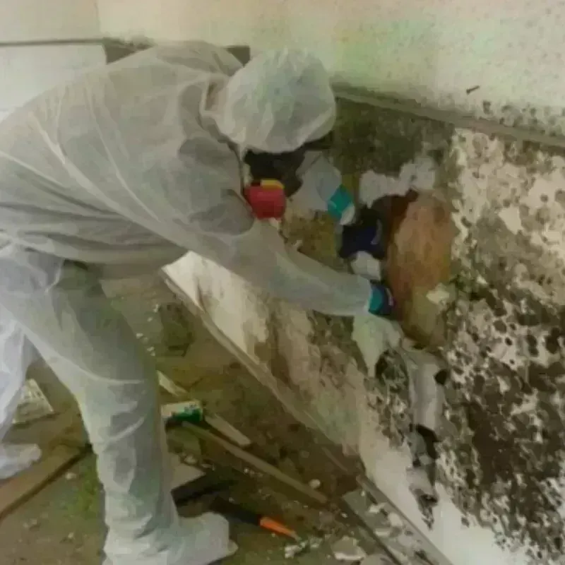 Mold Remediation and Removal in Tyndall, SD